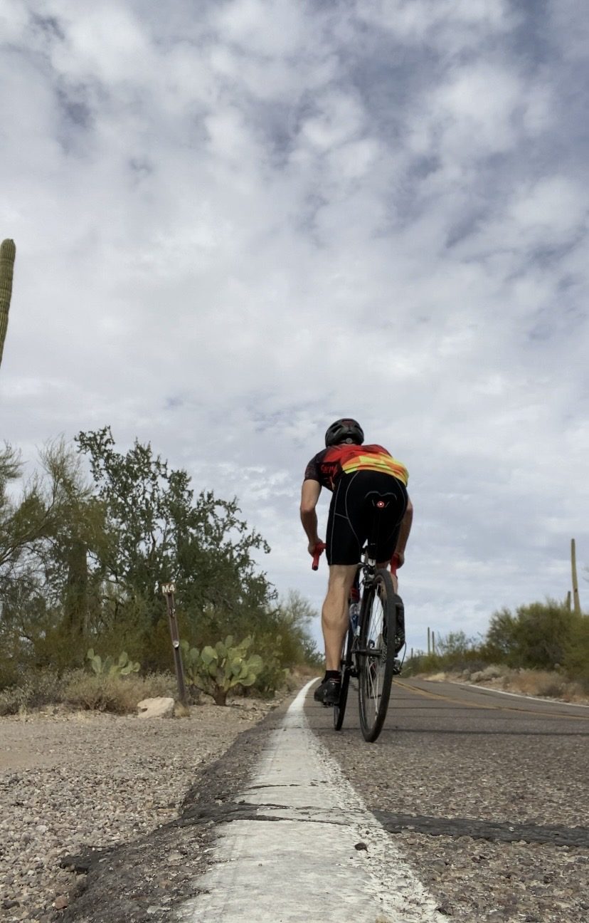 Cyclist riding a desert road lined with saguaro cacti